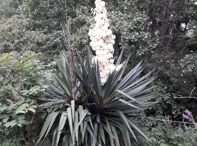 Apartman Le Clos De *