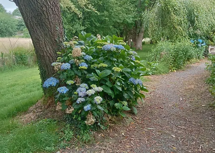 Apartman Le Clos De *